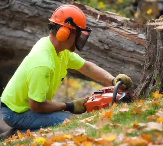 tree services Lockland